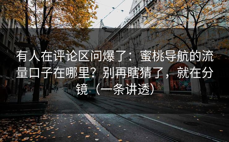 有人在评论区问爆了:蜜桃导航的流量口子在哪里?别再瞎猜了,就在分镜(一条讲透) 有人在评论区问爆了:蜜桃导航的流量口子在哪里?别再瞎猜了,就在分镜(一条讲透)