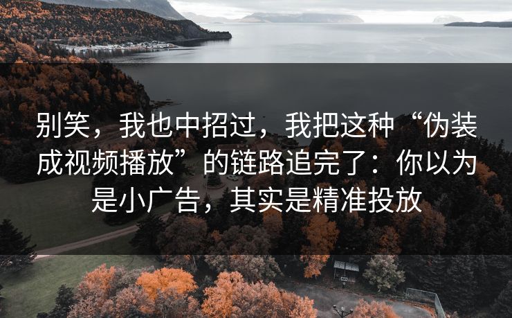 别笑，我也中招过，我把这种“伪装成视频播放”的链路追完了：你以为是小广告，其实是精准投放