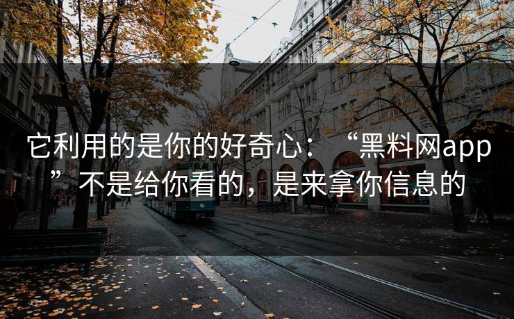 它利用的是你的好奇心：“黑料网app”不是给你看的，是来拿你信息的