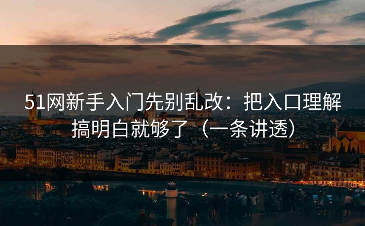 51网新手入门先别乱改：把入口理解搞明白就够了（一条讲透）