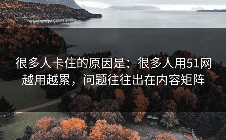 很多人卡住的原因是:很多人用51网越用越累,问题往往出在内容矩阵 很多人卡住的原因是:很多人用51网越用越累,问题往往出在内容矩阵